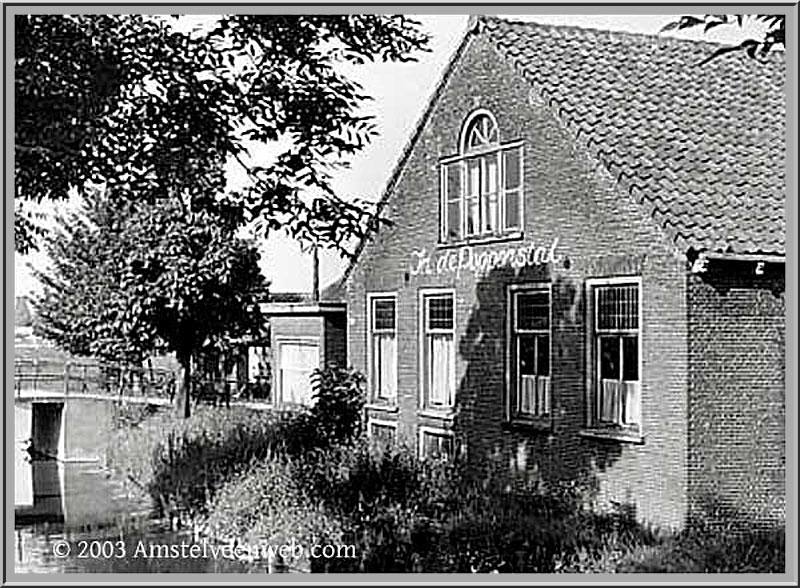 Zwarte kat  Amstelveen