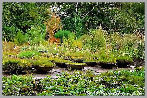 Foto Amstelveen