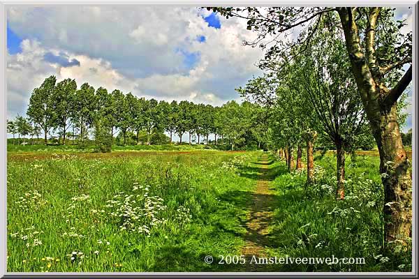 Elsenhove Amstelveen