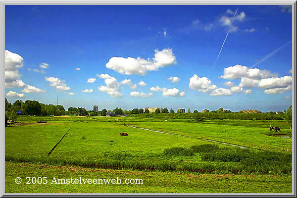 Polder bij Oranjebaan Amstelveen