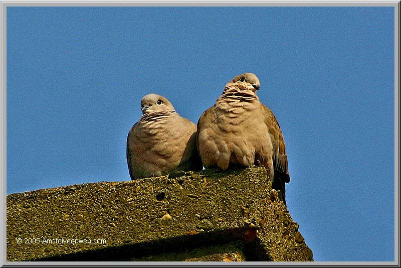 Amstelveen