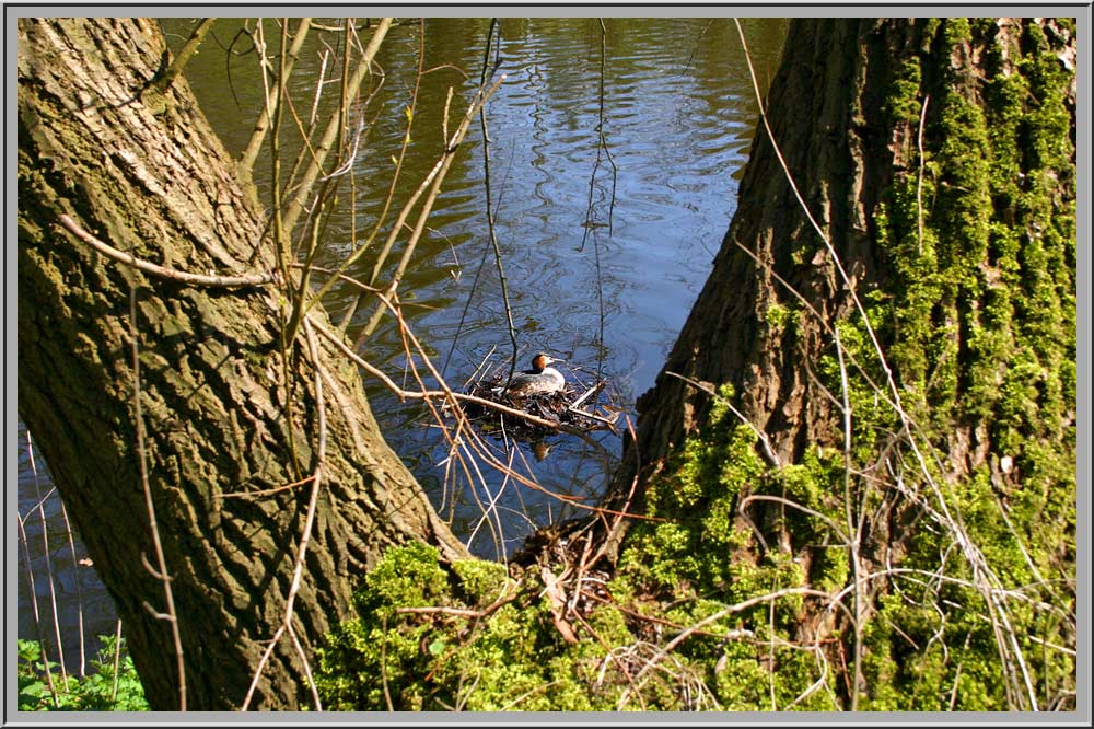 Landwehrpark Amstelveen