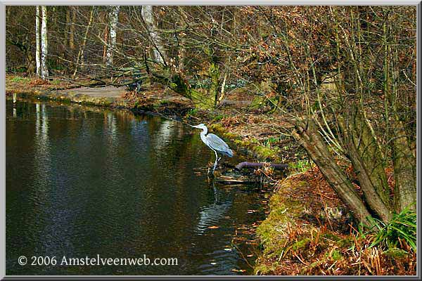 Thijssepark Amstelveen