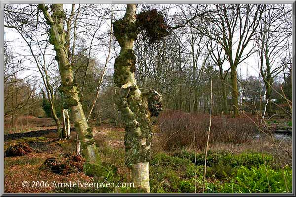 Thijssepark Amstelveen