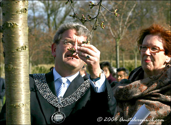 Van Zanen Jorritsma cherry blossom festival  Amstelveen