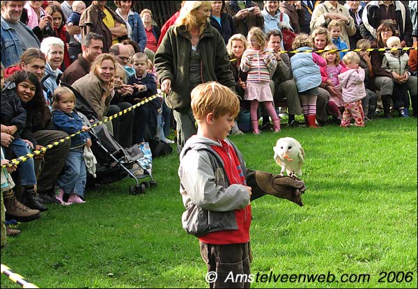 Roofvogelshow Amstelveen