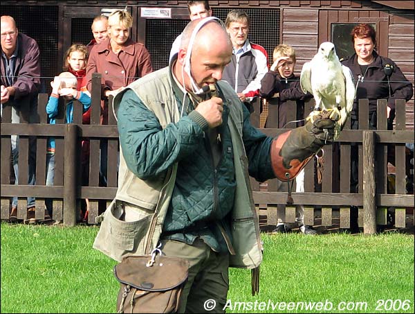 Roofvogelshow Amstelveen