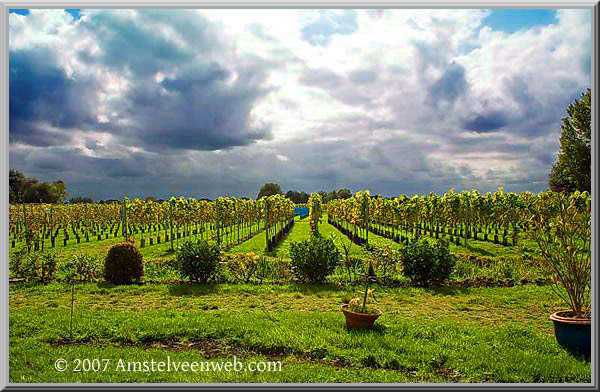 Amsteltuin Amstelveen