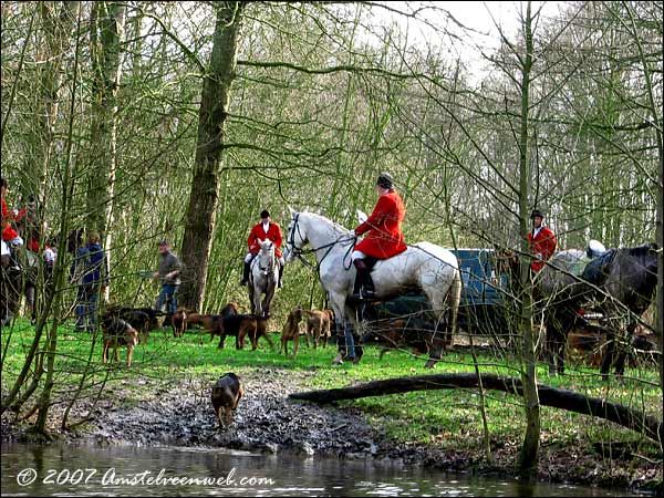 Vossenjacht  Amstelveen