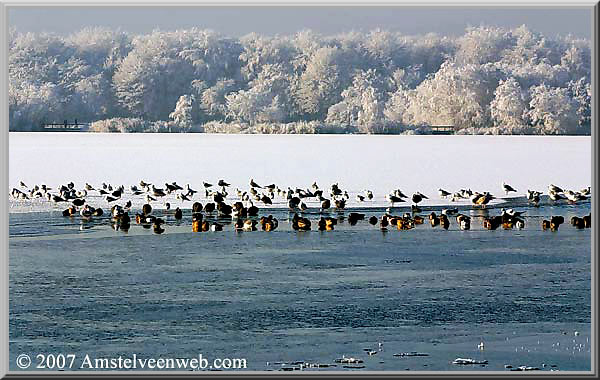 Winter Amstelveen