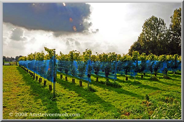 Amsteltuin Amstelveen