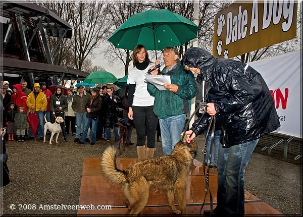 Date a dog Amstelveenweb