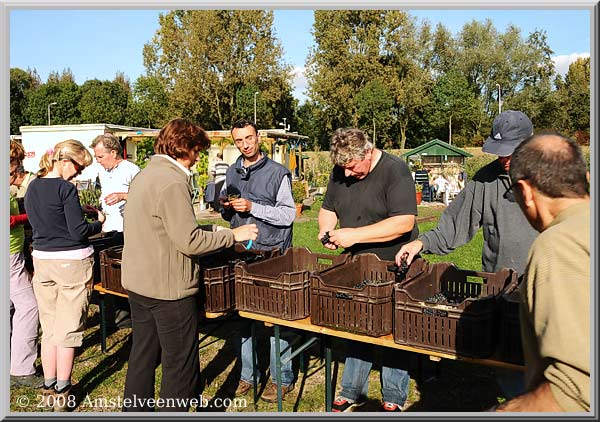 Amsteltuin Amstelveen