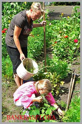 Schooltuin Amstelveen