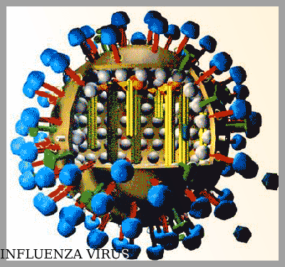 influenza Amstelveen