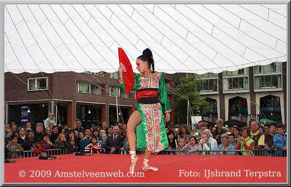 Japan feest Amstelveen