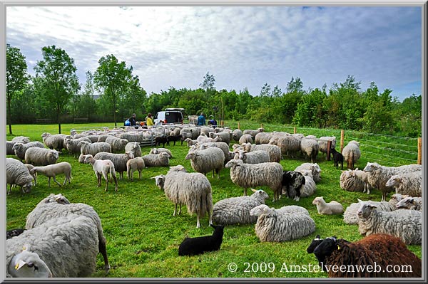 Schinkelbos Amstelveen