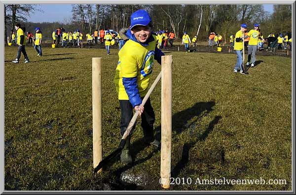 Boomplant Amstelveen