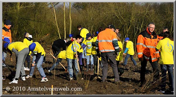 Boomplant Amstelveen