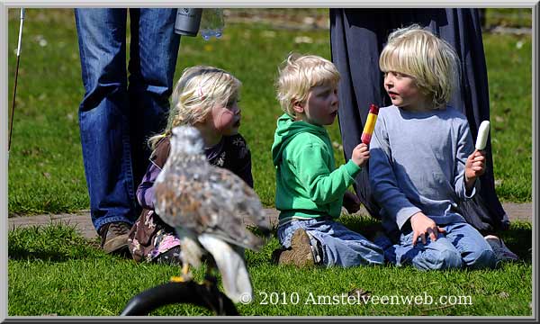 Elsenhove roofvogel Amstelveen