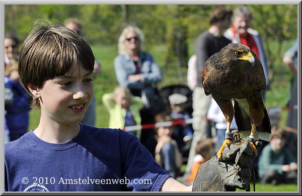 Elsenhove roofvogel Amstelveen