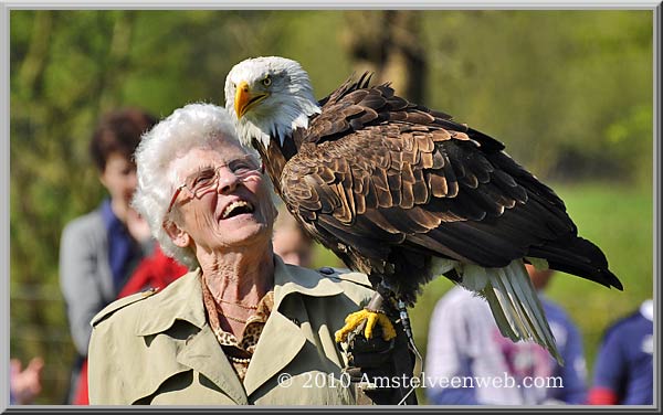 Elsenhove roofvogel Amstelveen