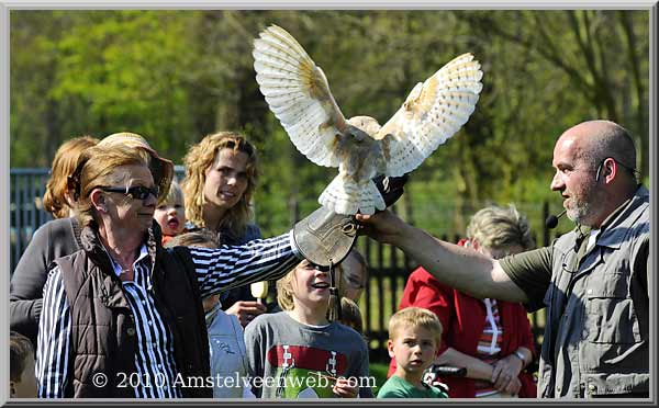 Elsenhove roofvogel Amstelveen