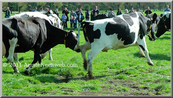 Boerderij  Amstelveen