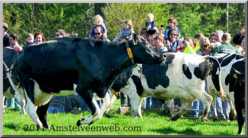 Boerderij  Amstelveen