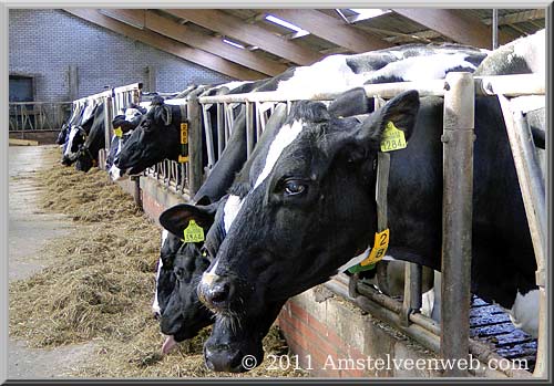 Boerderij  Amstelveen