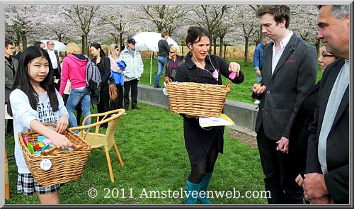 Cherry Blossom Amstelveen