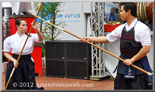 japan festival Amstelveen