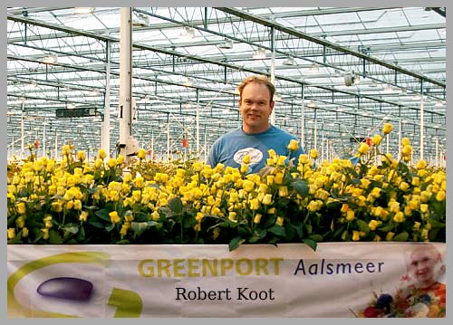 koot  Amstelveen