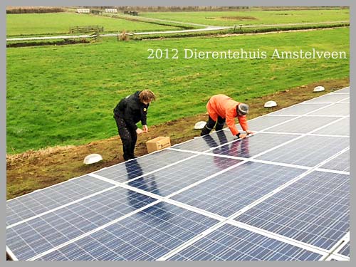 dierentehuis Amstelveen