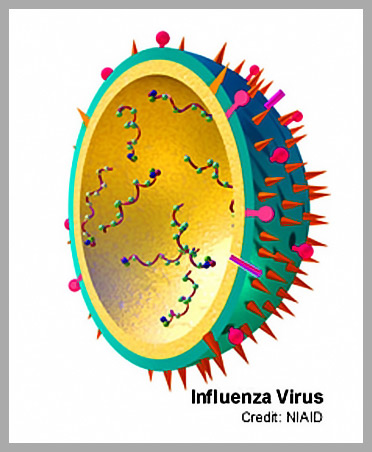 Influenza Amstelveen