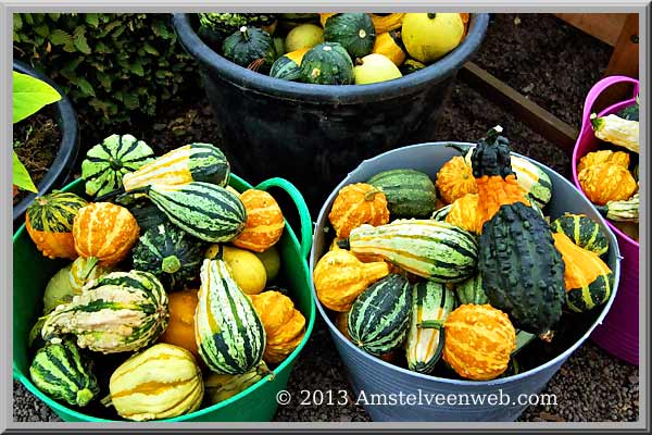 amstelflora Amstelveen