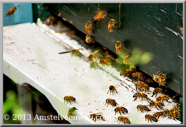 Foto Amstelveen