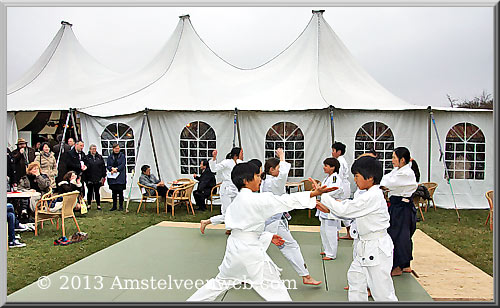 cherry blossom Amstelveen