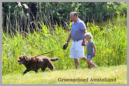 hond Amstelveen