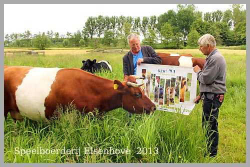 lakenvelder Amstelveen