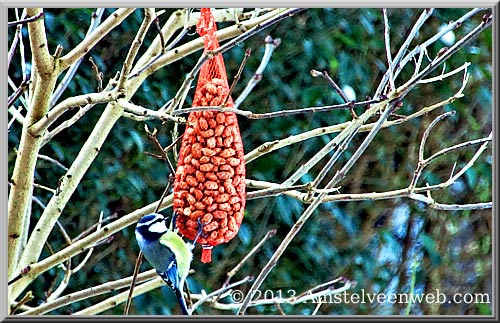 bommel Amstelveen