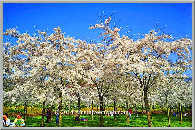 Foto Amstelveen