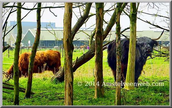 Foto Amstelveen