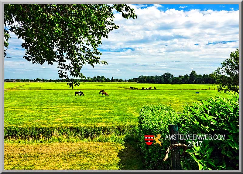 Foto Amstelveen