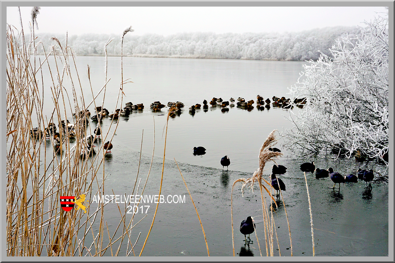 Foto Amstelveen