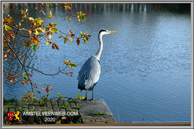 Amstelveen