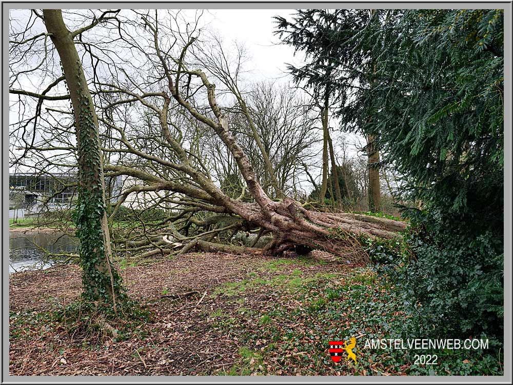 Foto Amstelveen