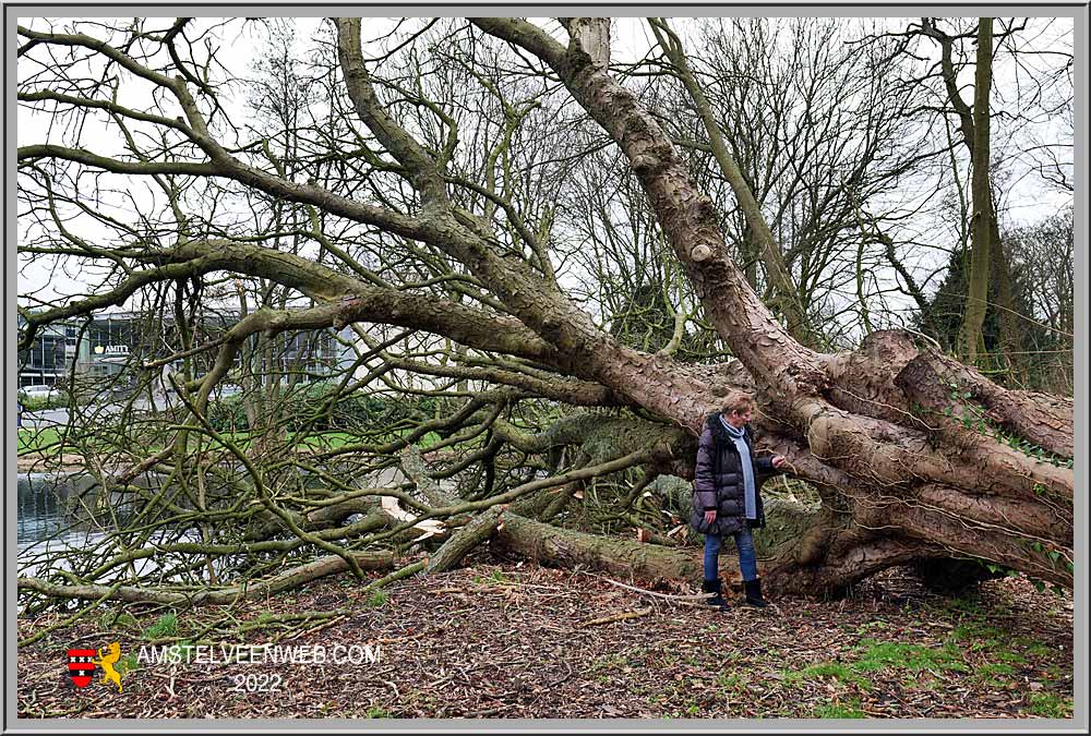 Amstelveen