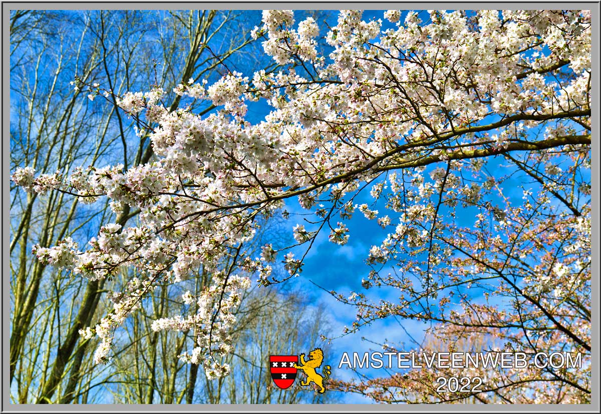 Foto Amstelveen