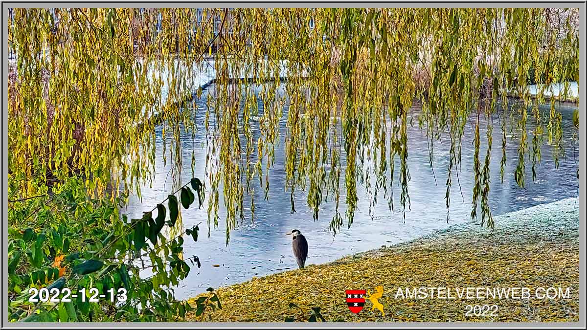 Foto Amstelveen